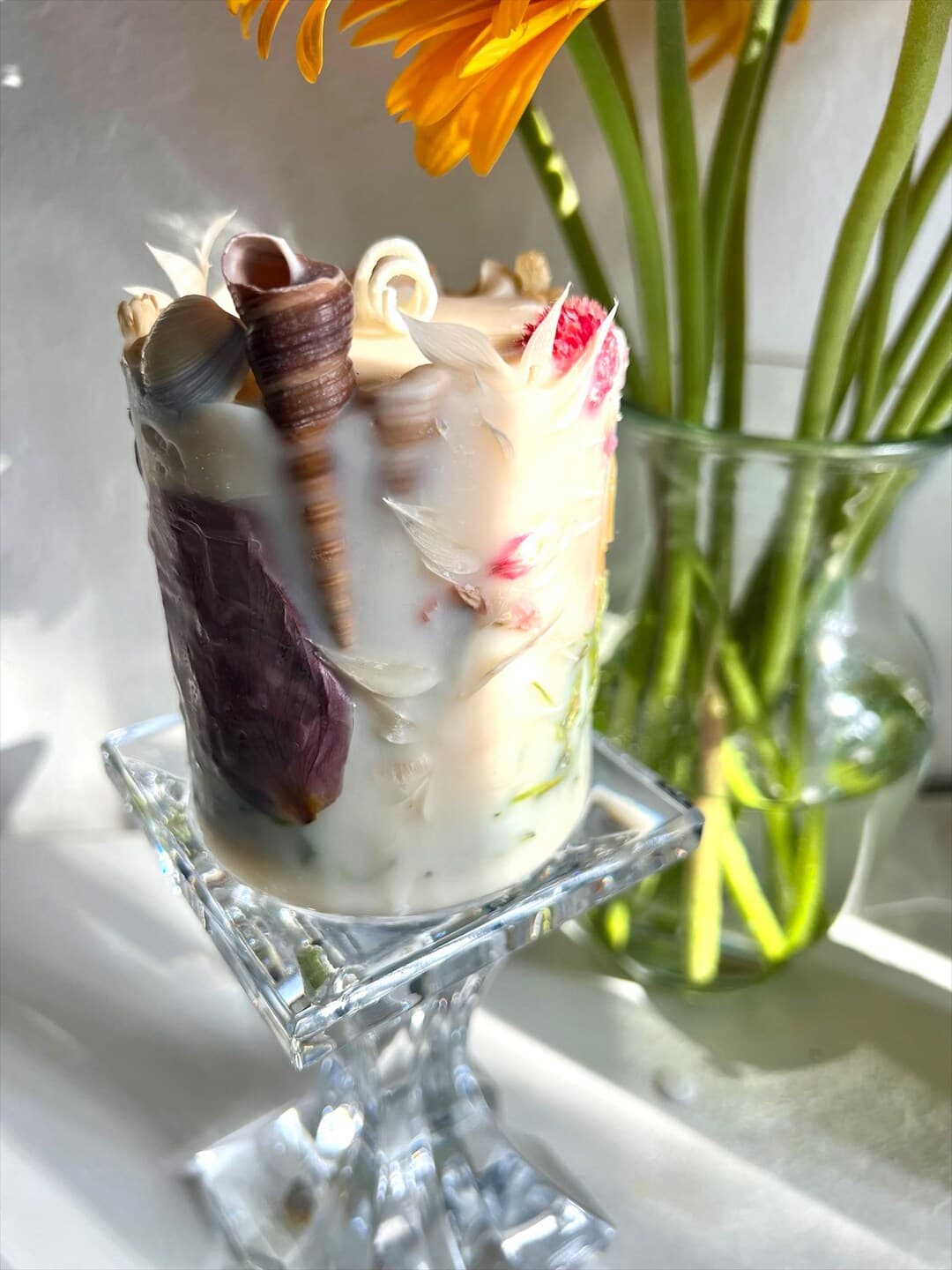 Seashell Garden thumbnail 2